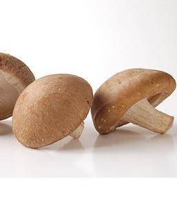 Champignon Shiitake De France Par 200g