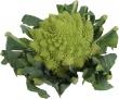 Chou Romanesco De France à La Pièce