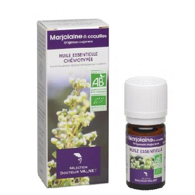 He Marjolaine A Coquilles 5ml